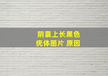 阴囊上长黑色疣体图片 原因